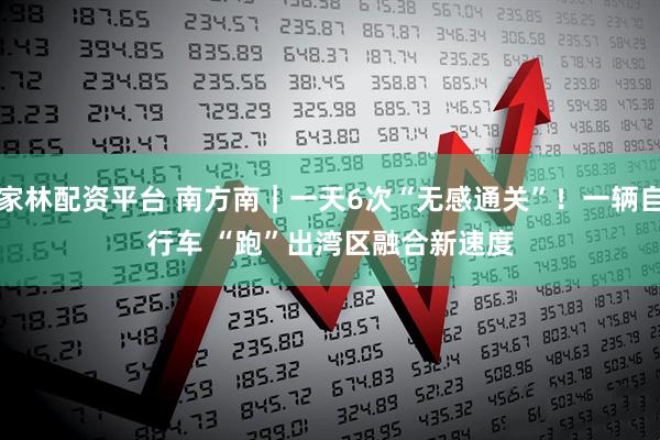 家林配资平台 南方南｜一天6次“无感通关”！一辆自行车 “跑”出湾区融合新速度