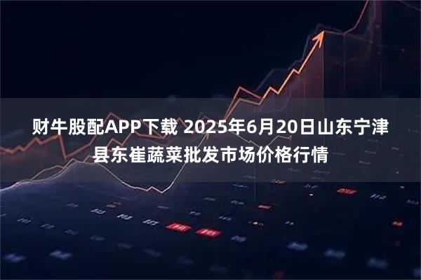 财牛股配APP下载 2025年6月20日山东宁津县东崔蔬菜批发市场价格行情